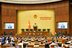 Panorama de la cita (Foto: VNA)