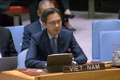El embajador Do Hung Viet, jefe de la misión permanente de Vietnam ante la ONU, interviene en la cita (Foto: VNA)