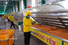 Línea de producción de la empresa Ngoc Yen, en la provincia de Dong Nai (Foto: VNA)