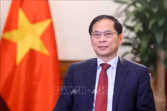 El vicepremier y ministro de Relaciones Exteriores de Vietnam, Bui Thanh Son (Foto: VNA)