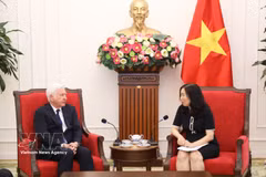 La vicecanciller Le Thi Thu Hang sostiene un encuentro con el cónsul honorario de Vietnam en Irlanda, Patrick McKillen. Foto: VNA