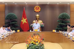 El viceprimer ministro vietnamita Le Tien Chau preside la reunión. (Foto: VNA)