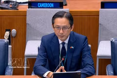 El embajador Do Hung Viet, jefe de la misión vietnamita ante las Naciones Unidas, interviene en la sesión. (Foto proporcionada por la representación vietnamita)