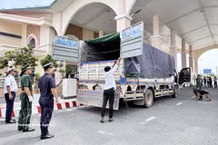 En el puesto fronterizo internacional de Khanh Binh, provincia de An Giang. (Foto. VNA)
