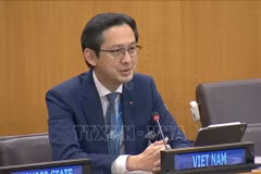 El embajador Do Hung Viet, jefe de la Misión Permanente de Vietnam ante la ONU y presidente designado de la Conferencia de Examen del TNP (Foto: VNA)