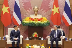 El secretario general del Comité Central del Partido Comunista de Vietnam y presidente, To Lam (derecha), conversa con el Rey de Tailandia, Maha Vajiralongkorn Phra Vajiraklaochaoyuhua. (Foto: VNA)