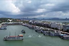Flota turística de Ha Long en el puerto internacional de pasajeros de Tuan Chau (Foto: VNA)