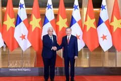 Vietnam y Panamá abordan vías para fortalecer cooperación bilateral