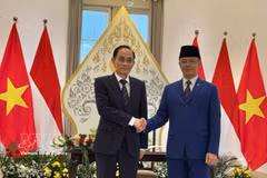 El ministro de Relaciones Exteriores de Vietnam, Le Hoai Trung (izquierda), y su homólogo indonesio, Sugiono. (Foto: VNA)