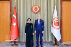 El presidente de la Gran Asamblea Nacional turca, Numan Kurtulmus, recibe a la embajadora vietnamita, Dang Thi Thu Ha. (Foto: VNA)