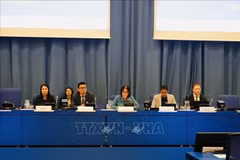 El embajador Vu Le Thai Hoang, jefe de la misión permanente de Vietnam ante la Organización de la ONU y las organizaciones internacionales en Viena (segundo por la izquierda) (Foto: VNA)