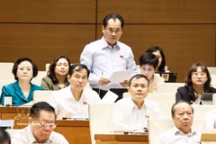 El ministro de Agricultura y Medio Ambiente de Vietnam, Trinh Viet Hung, interviene en la sesión. (Foto: VNA)