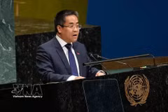 El ministro consejero Nguyen Hai Luu, representante permanente adjunto de Vietnam ante la ONU, interviene en la cita. (Foto: VNA)