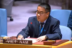 El ministro consejero Nguyen Hai Luu, representante permanente adjunto de Vietnam ante la ONU. (Foto: Archivo de VNA)