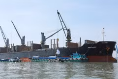Transporte y carga de arroz comercial para exportación de la Corporación de Alimentos del Sur de Vietnam. (Foto: VNA)