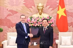 El vicepresidente de la Asamblea Nacional de Vietnam Nguyen Khac Dinh (derecha) recibe a Márcio Honaiser, presidente del Grupo Parlamentario de Amistad Brasil-Vietnam (Foto: VNA)