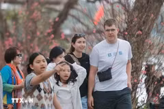 El número de turistas extranjeros que visitaron Vietnam durante las festividades del Año Nuevo Lunar 2025 reportó un aumento interanual del 30% (Foto: VNA)