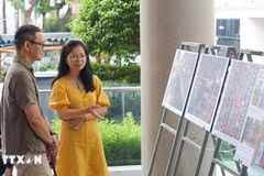 Visitantes en la exposición (Foto: VNA)