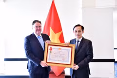 El ministro de Relaciones Exteriores, Le Hoai Trung (derecha), entrega la Orden de Amistad al embajador estadounidense Marc Evans Knapper (Foto: VNA)