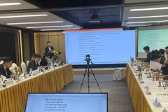 Delegados debaten en la cita (Foto: VNA)