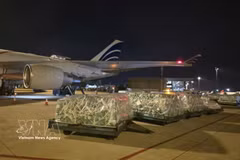 Los envíos se descargan en el aeropuerto. (Foto: VNA)