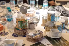 Las exportaciones vietnamitas de anacardos procesados a Argentina superaron las 270 toneladas en 2025, 1,7 veces más que en 2024, con un valor cercano a 1,2 millones de dólares. (Foto: VNA)