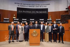 La delegación vietnamita se reúne con representantes del Senado de México. (Foto: VNA)