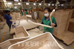 La transparencia en el origen de la madera es también uno de los requisitos clave para que Vietnam avance hacia la concesión de licencias FLEGT (Foto: VNA)