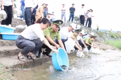 Tras la ceremonia, las autoridades y la población liberan peces en el lago Con Son, en el sitio declarado Patrimonio de la Humanidad Con Son-Kiet Bac, en el barrio de Tran Hung Dao, ciudad de Hai Phong. (Foto: VNA)