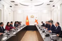 La vicepresidenta de Vietnam, Vo Thi Anh Xuan, se reúne con el presidente de Georgia, Mikheil Kavelashvili. (Foto: VNA)