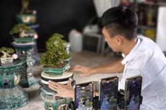 Impulsan transformación digital al servicio del desarrollo económico en localidades vietnamitas