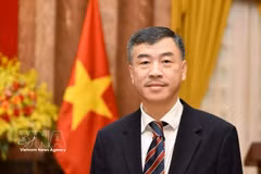 El embajador de Vietnam en la República Checa, Duong Hoai Nam. (Foto: VNA)