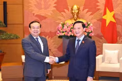 El vicepresidente de la Asamblea Nacional de Vietnam, Nguyen Khac Dinh (derecha), recibe al presidente de su Comisión de Asuntos Exteriores de la Asamblea Nacional de Laos, , Sanya Praseuth. (Foto: VNA)