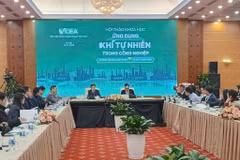 Panorama del taller (Foto: VNA)