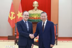El secretario general del Partido Comunista de Vietnam, To Lam (derecha), recibe al embajador ruso, Gennady Bezdetko. (Foto: VNA)