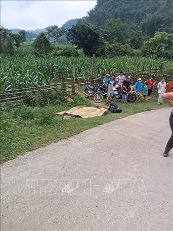 Escena del accidente (Fuente:VNA)
