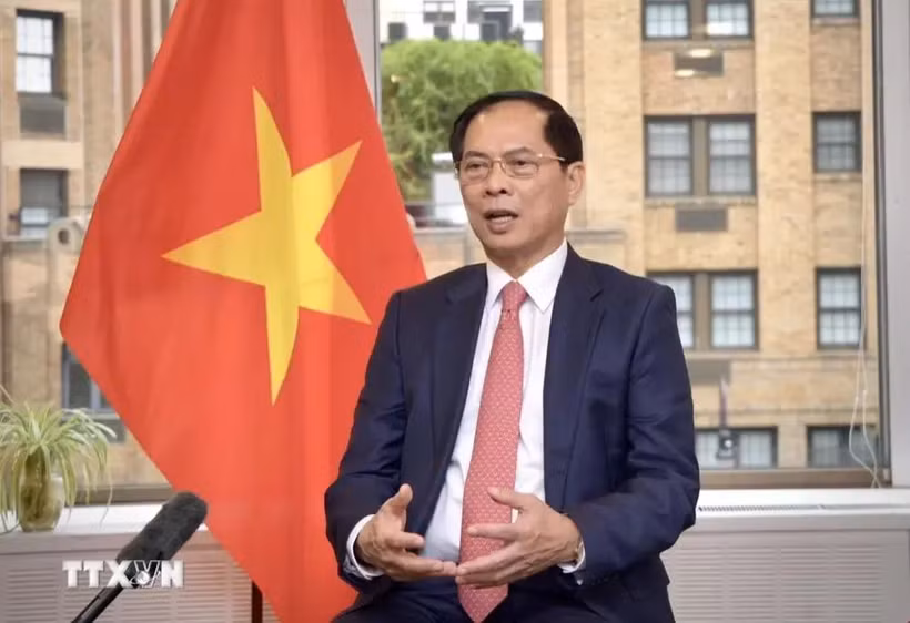 El viceprimer ministro y ministro de Relaciones Exteriores Bui Thanh Son. (Fuente: VNA)