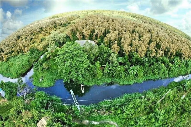 Tecnología de teledetección para el monitoreo y la verificación de créditos de carbono forestal en Vietnam. (Fuente Departamento Nacional de Teledetección)