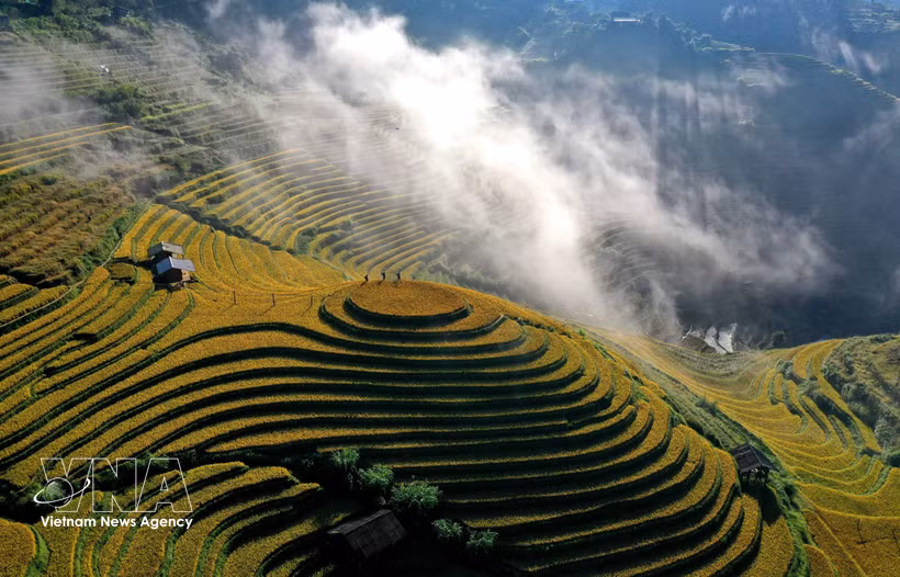 Arrozales en terrazas en la provincia de Lao Cai. (Fuente: VNA)