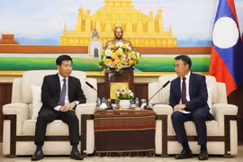 El vicecanciller vietnamita Nguyen Manh Cuong (izquierda) y el jefe interino de la Comisión de Relaciones Exteriores del Comité Central del Partido Popular Revolucionario de Laos, Bounlua Phandanouvong. (Foto: VNA)
