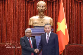 El secretario general del Partido Comunista y presidente de Vietnam, To Lam, (derecha) recibe al embajador de Bangladesh, Mohammad Lutfor Rahman. (Foto: VNA)