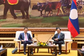 El Auditor General de Vietnam, Nguyen Huu Nghia, (izquierda) realiza una visita de cortesía al primer ministro laosiano, Sonexay Siphandone. (Foto: VNA)