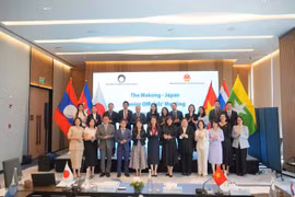 Delegados en la Reunión de Altos Funcionarios (SOM) Mekong-Japón (Foto: Ministerio de Relaciones Exteriores de Vietnam).