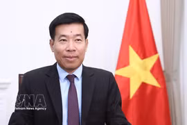 El viceministro vietnanita de Relaciones Exteriores Nguyen Manh Cuong. Foto: VNA