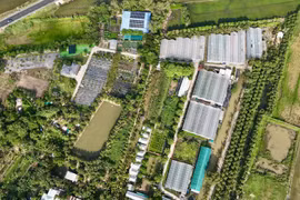 El auge del agroturismo en Vietnam: una apuesta por el desarrollo sostenible