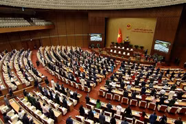 Parlamento de Vietnam debate asuntos urgentes en su novena reunión extraordinaria