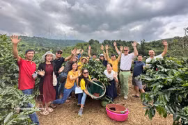  Un siglo de café de Khe Sanh: la tierra roja que da vida al prestigioso arábica vietnamita