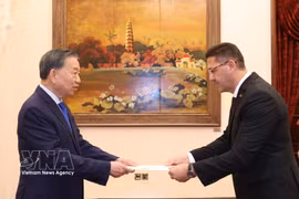El secretario general del Partido Comunista y presidente de Vietnam, To Lam, recibe al embajador palestino Shadi Abu Zarq. Foto: VNA
