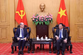 El director de la Academia Política Nacional Ho Chi Minh, Nguyen Xuan Thang, (derecha) recibe al vicepresidente de Asuntos Gubernamentales y Políticas Públicas de Google para la región de Mercados Emergentes, Doron Avnin. (Foto: VNA)