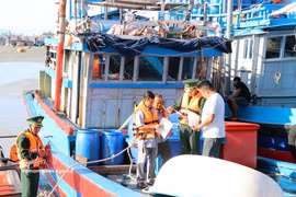 La provincia de Quang Tri refuerza la supervisión de su flota para combatir la pesca ilegal. Foto: VNA